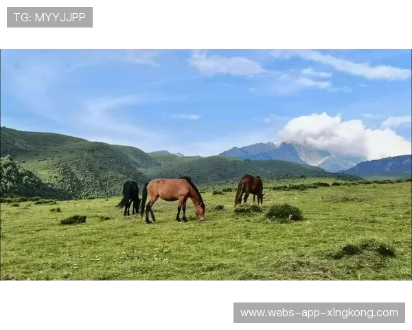 高原牧马节激战,登山运动逐步走向国际舞台,牧马山在哪儿 高原牧马节激战,登山运动逐步走向国际舞台,牧马山在哪儿