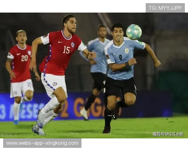 巴西站五大焦点:追车、退赛、爆冷应有尽有 巴西站五大焦点:追车、退赛、爆冷应有尽有